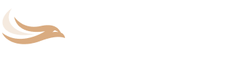 aviationaly logo 1